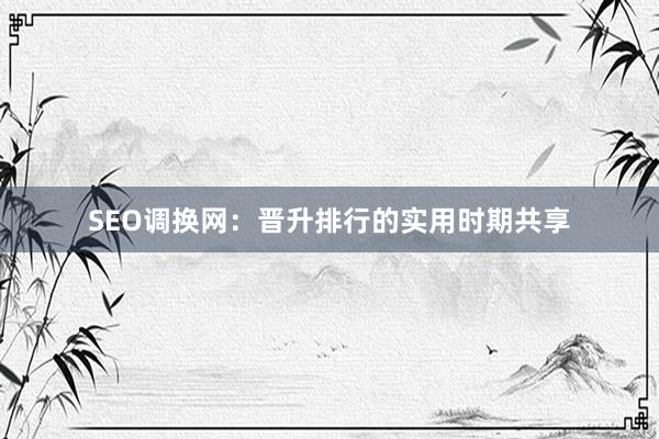 SEO调换网：晋升排行的实用时期共享